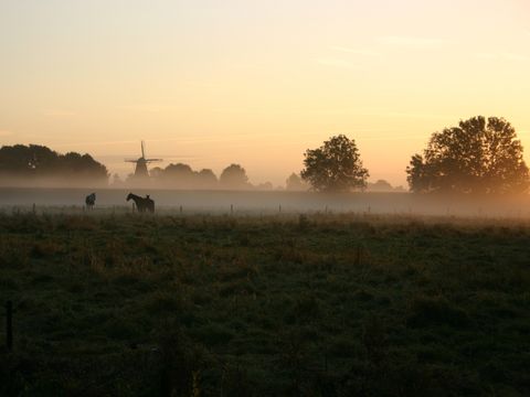 Hof van Salland - Camping Hellendoorn - Image N°20