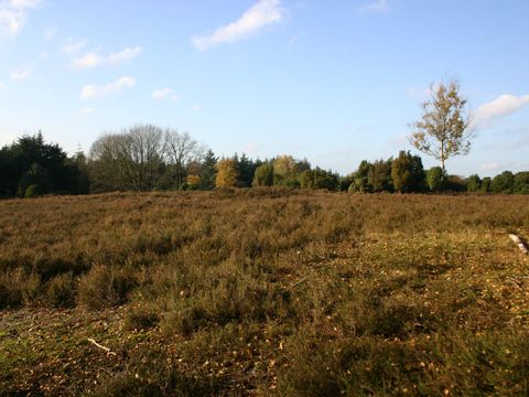 Hof van Salland - Camping Hellendoorn - Image N°18