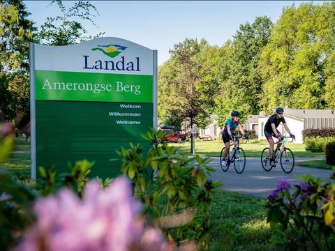 Landal Amerongse Berg - Camping Utrechtse Heuvelrug