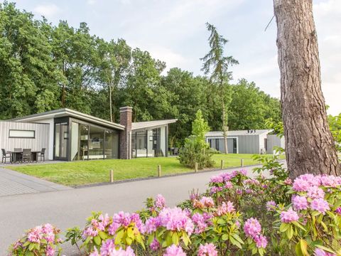 Landal Amerongse Berg - Camping Utrechtse Heuvelrug