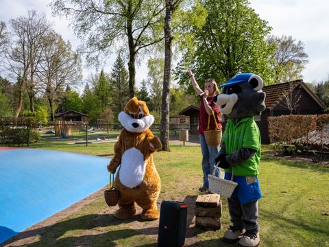 Recreatiepark De Paalberg - Camping Ermelo - Image N°22