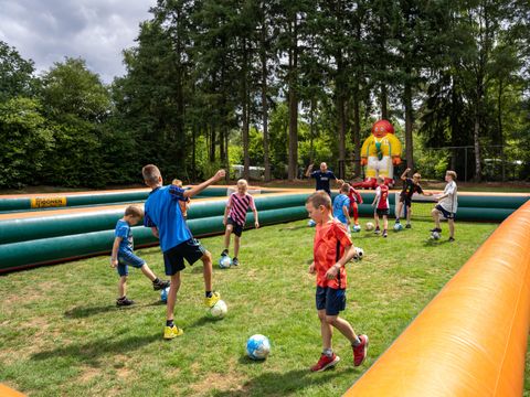 Recreatiepark De Paalberg - Camping Ermelo - Image N°14