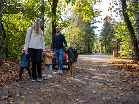 Recreatiepark De Paalberg - Camping Ermelo - Image N°5