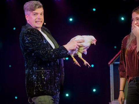 Park Molenheide - Camping Limburg Belge