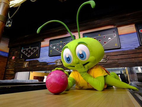 Park Molenheide - Camping Limburg Belge