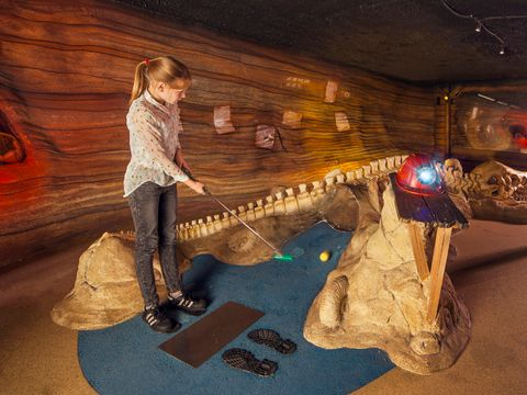 Park Molenheide - Camping Limburg Belge