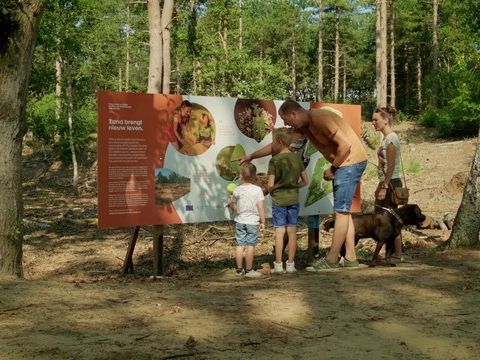 Park Molenheide - Camping Limburg Belge