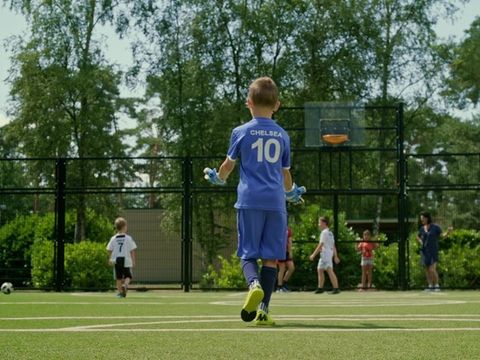 Park Molenheide - Camping Limburg Belge