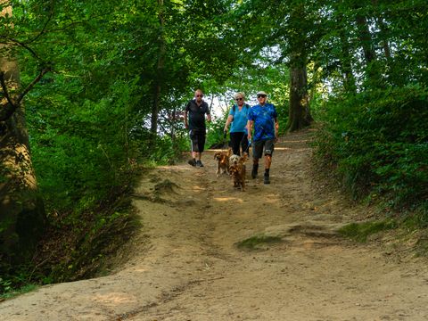 Resort Walsdorf - Camping Luxembourg - Image N°26