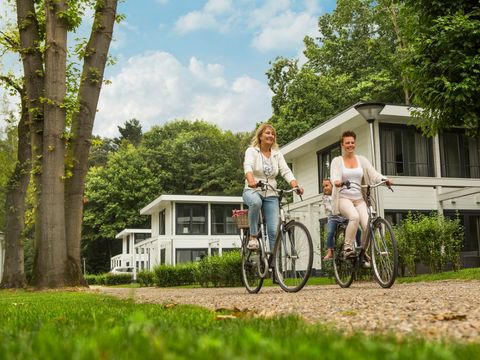 Landal Mooi Zutendaal - Camping Limburg Belge - Image N°3