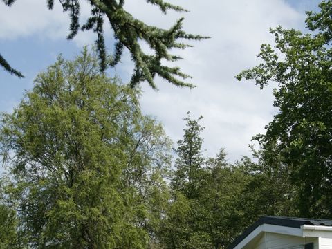 Holland Chalet Park Hensbroek - Camping Koggenland