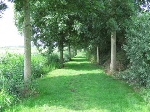 Holland Chalet Park Hensbroek - Camping Koggenland