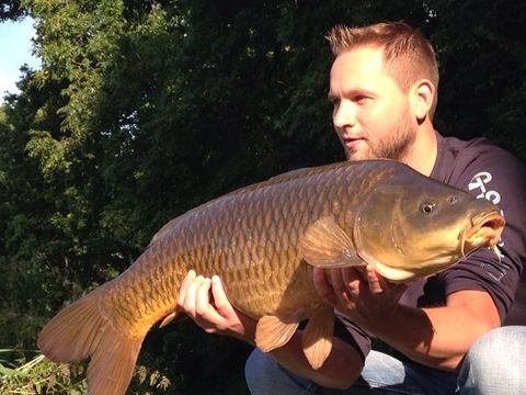 Holland Chalet Park Hensbroek - Camping Koggenland