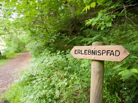 Ferienpark Ronshausen - Camping Hesse - Image N°3