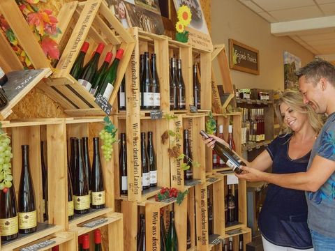 Landal Warsberg - Camping Rhénanie-Palatinat