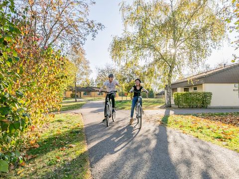 Landal Warsberg - Camping Rhénanie-Palatinat