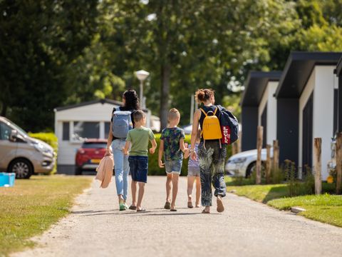 Recreatiecentrum de Vogel - Camping Hulst - Image N°37