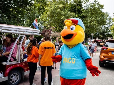 Recreatiecentrum de Vogel - Camping Hulst - Image N°3