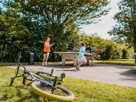 Recreatiecentrum de Vogel - Camping Hulst - Image N°35