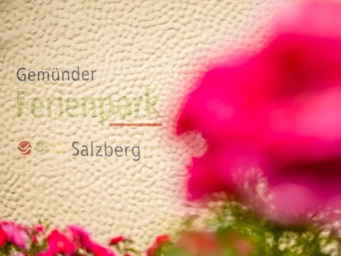 Gemünder Ferienpark Salzberg - Camping Rhénanie-Palatinat - Image N°28
