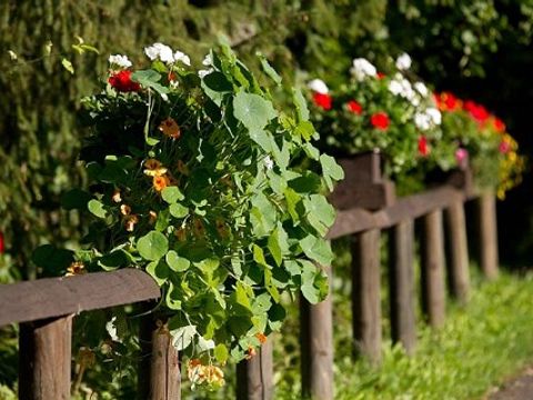 Feriendorf Reinskopf - Camping Rhénanie-Palatinat