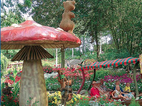 Landal Hansa Park - Camping Schleswig-Holstein - Image N°17