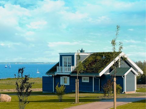 Landal Hansa Park - Camping Schleswig-Holstein - Image N°7