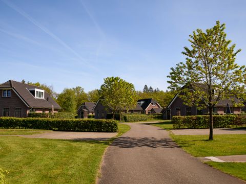 Summio Villaparc Schoonhovenseland - Camping Hoogeveen - Image N°2