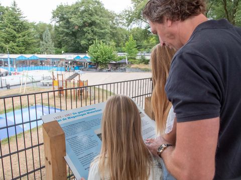 TopParken Recreatiepark de Wielerbaan - Camping Wageningen - Image N°3