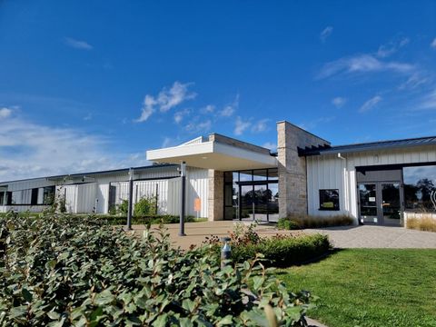 Kompas Camping Nieuwpoort - Camping Flandre Occidentale - Image N°3