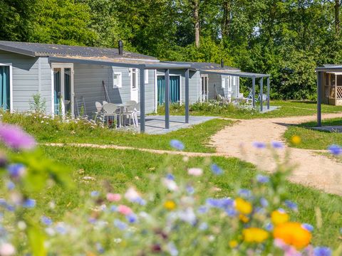 Molecaten Park De Agnietenberg - Camping Zwolle - Image N°5