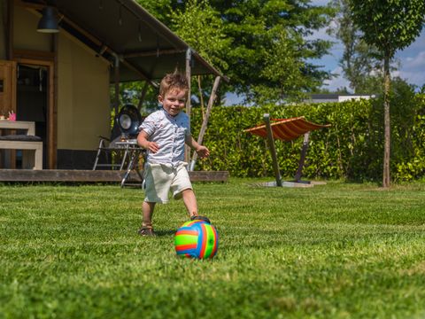 Vakantiepark Ackersate - Camping Barneveld - Image N°17