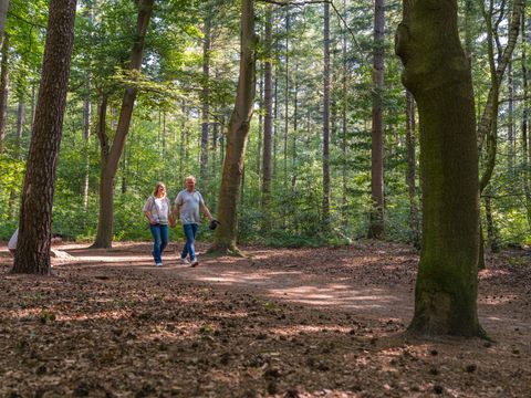 Vakantiepark Ackersate - Camping Barneveld - Image N°45