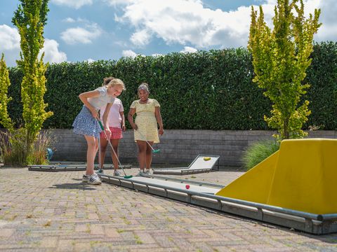 Vakantiepark Ackersate - Camping Barneveld - Image N°3