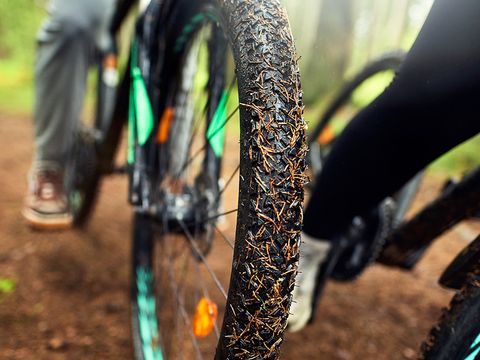 Center Parcs Les Ardennes - Camping Luxembourg