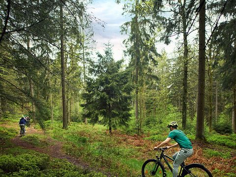 Center Parcs Les Ardennes - Camping Luxembourg