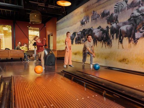 Safari Resort Beekse Bergen - Camping Hilvarenbeek