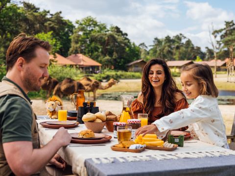 Safari Resort Beekse Bergen - Camping Hilvarenbeek