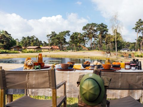 Safari Resort Beekse Bergen - Camping Hilvarenbeek