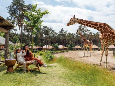 Safari Resort Beekse Bergen - Camping Hilvarenbeek