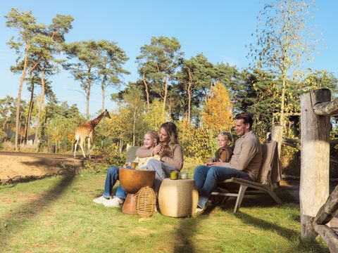 Safari Resort Beekse Bergen - Camping Hilvarenbeek - Image N°2