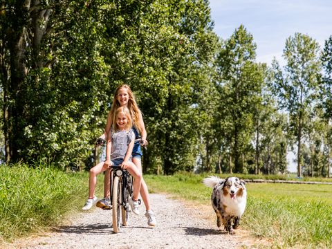 TopParken Parc de IJsselhoeve - Camping Zuidplas - Image N°7