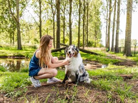 TopParken Parc de IJsselhoeve - Camping Zuidplas - Image N°8