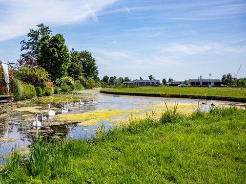 TopParken Parc de IJsselhoeve - Camping Zuidplas - Image N°16