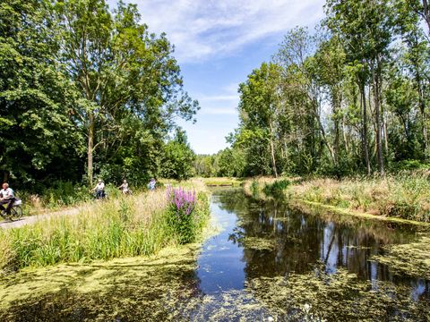 TopParken Parc de IJsselhoeve - Camping Zuidplas - Image N°24