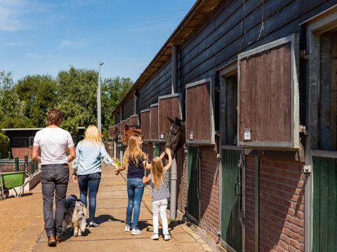 TopParken Parc de IJsselhoeve - Camping Zuidplas - Image N°10