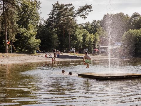 Camping Baalse Hei - Camping Anvers - Image N°5