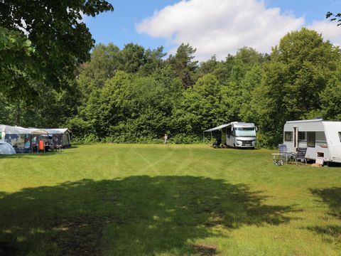 Camping Baalse Hei - Camping Anvers - Image N°3