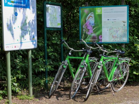 Camping Baalse Hei - Camping Anvers