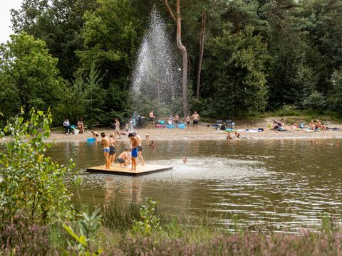 Camping Baalse Hei - Camping Anvers - Image N°3